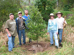 fieldwork image