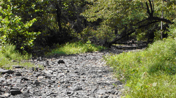 fifteen mile creek dry