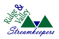RVS logo